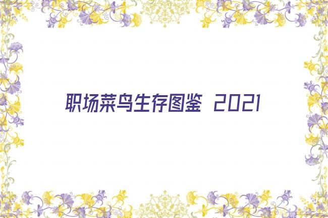 职场菜鸟生存图鉴 2021剧照